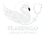 flamingomedicalandwellness.com